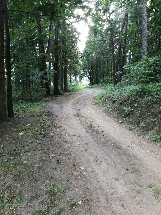 Parduodamas namų valdos 16,38 arų sklypas - nuotraukos Nr. 5