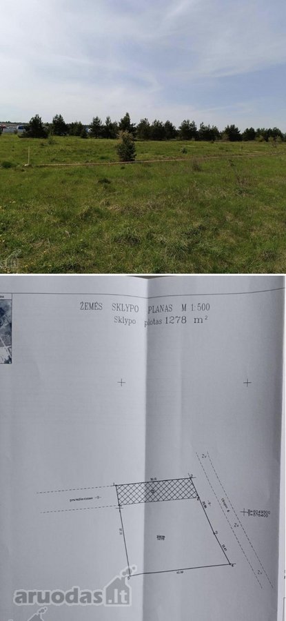 Šalia Vilniaus, ramioje vietoje parduodami - nuotraukos Nr. 6