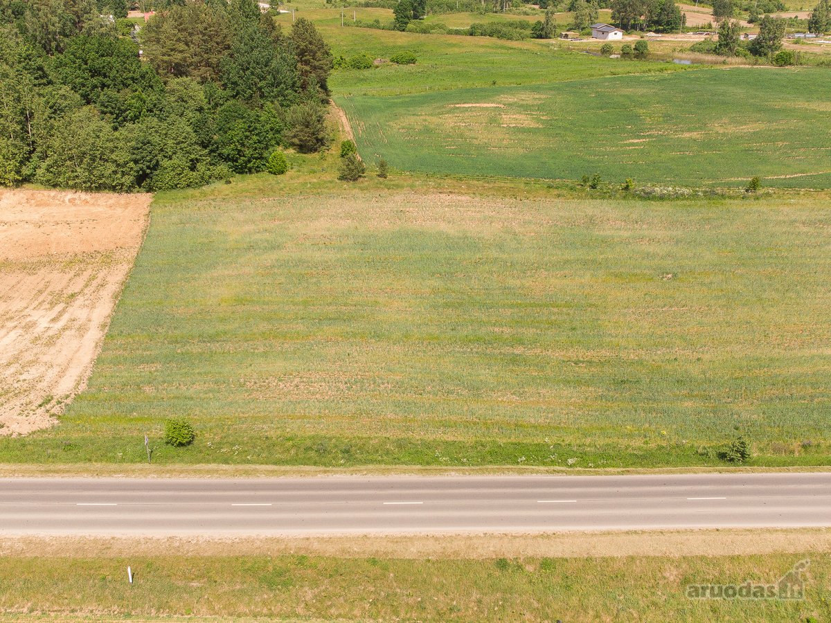 Vilniaus raj. parduodamas 42 a. žemės ūkio - nuotraukos Nr. 25