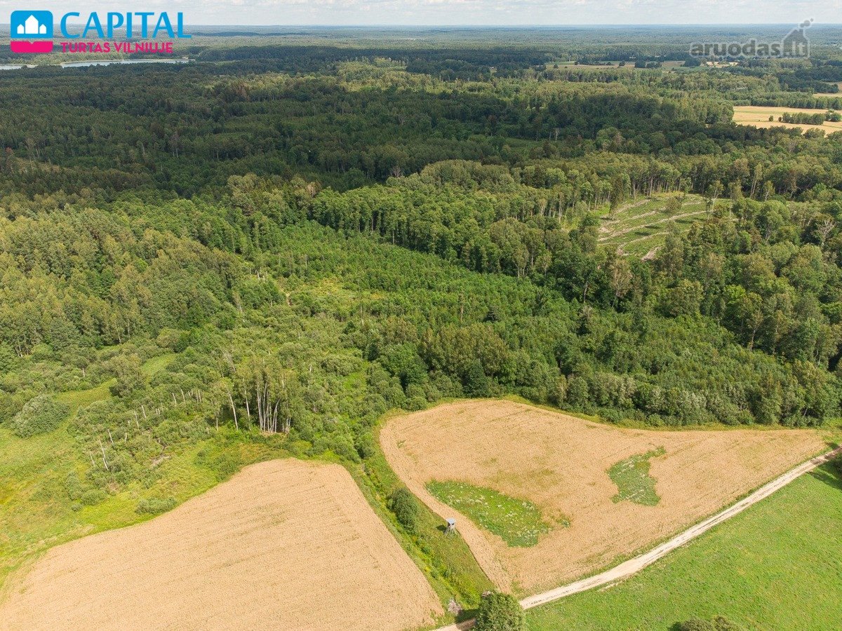 Parduodamas Žemės Ūkio Paskirties Sklypas! - nuotraukos Nr. 17