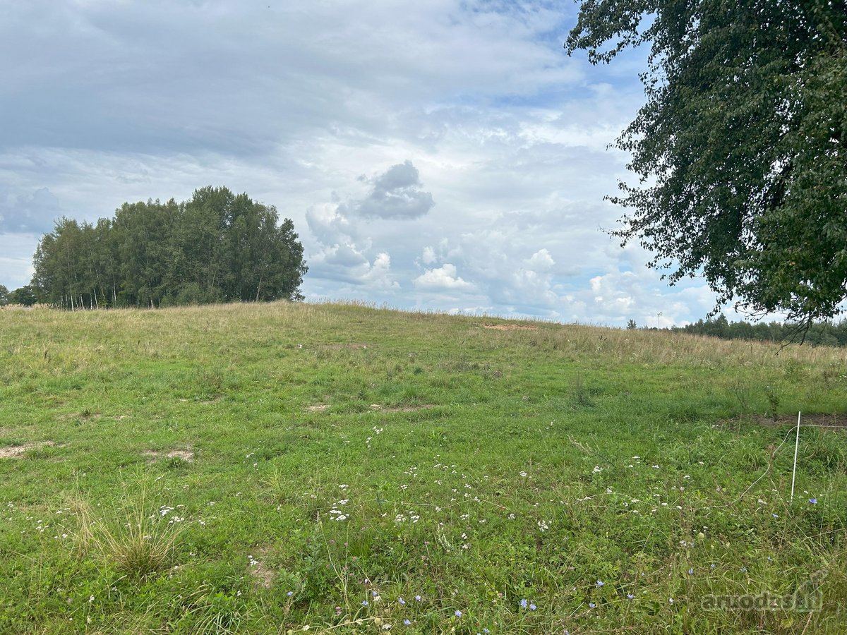 Zarasų rajone, Kloviškų kaime parduodami 2 - nuotraukos Nr. 7