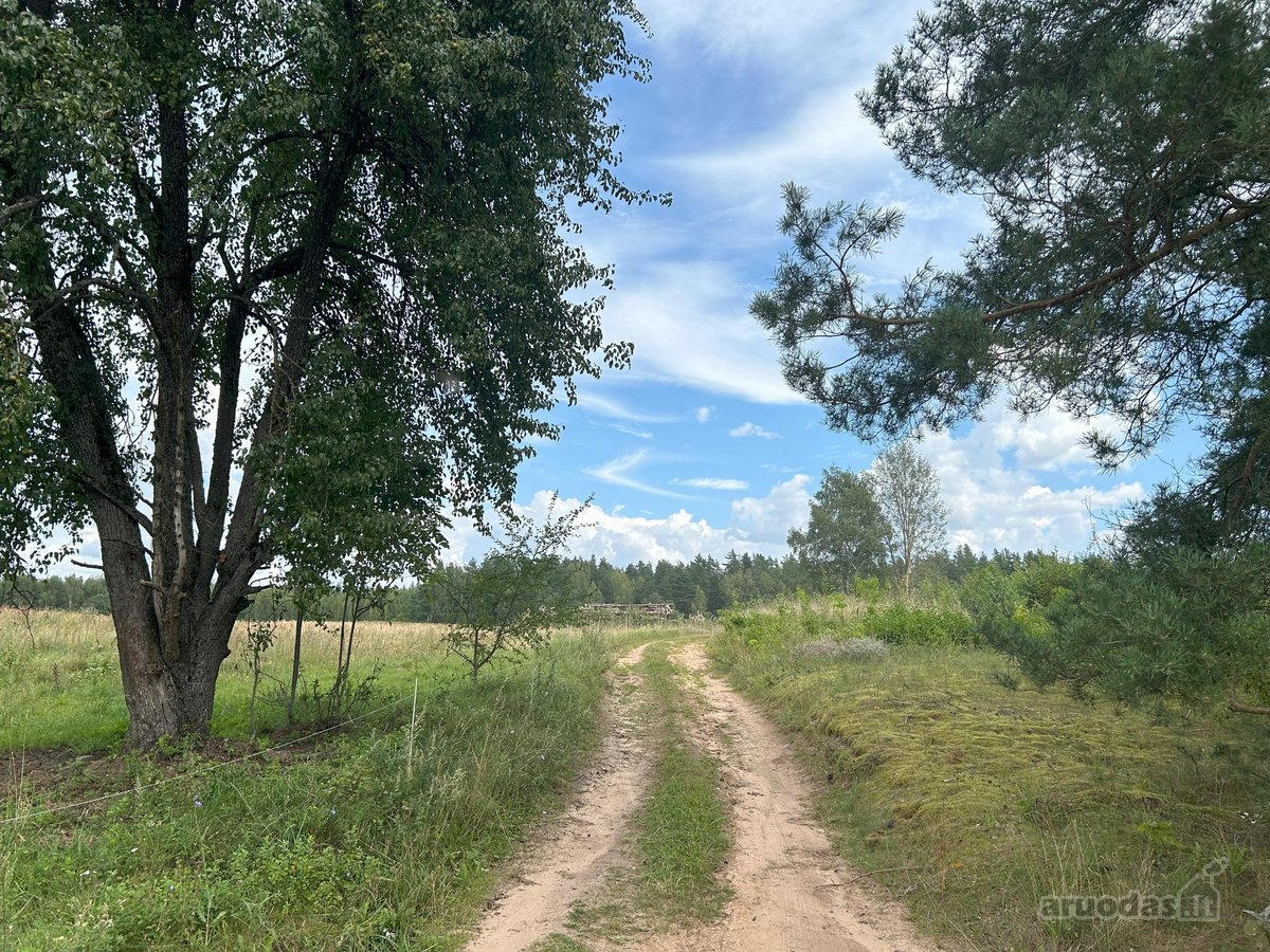 Zarasų rajone, Kloviškų kaime parduodami 2 - nuotraukos Nr. 8