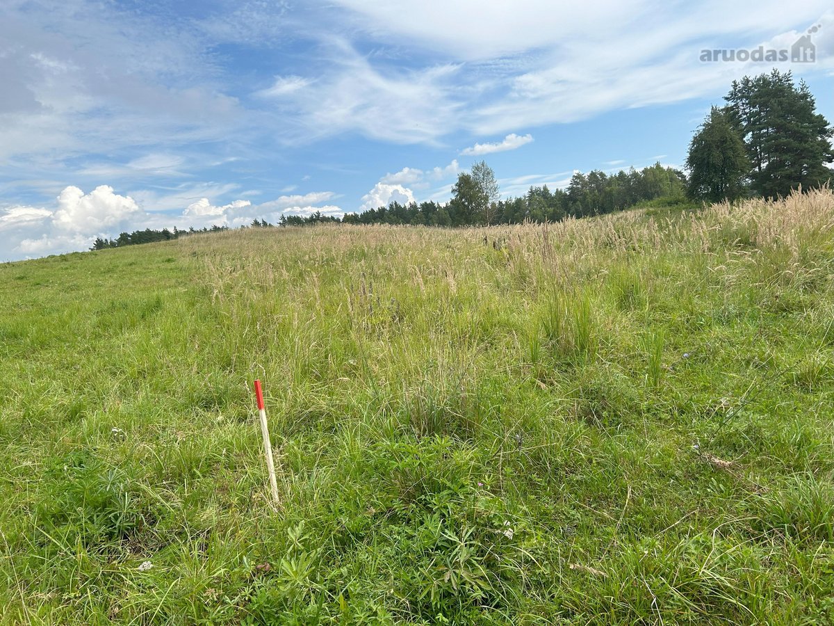 Zarasų rajone, Kloviškų kaime parduodami 2 - nuotraukos Nr. 9