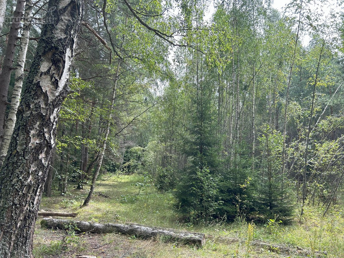 Zarasų rajone, Kloviškų kaime parduodami 2 - nuotraukos Nr. 12
