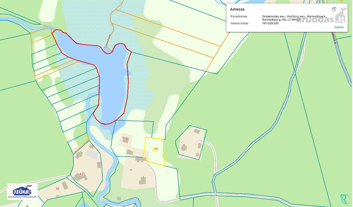 Nuostabiame Druskininkų savivaldybės - nuotraukos Nr. 25