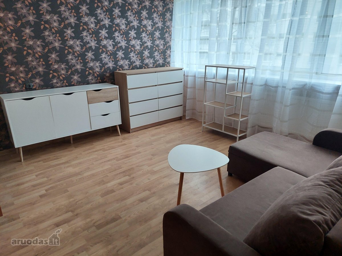 Jaukus, šviesus vieno kambario butas su - nuotraukos Nr. 3