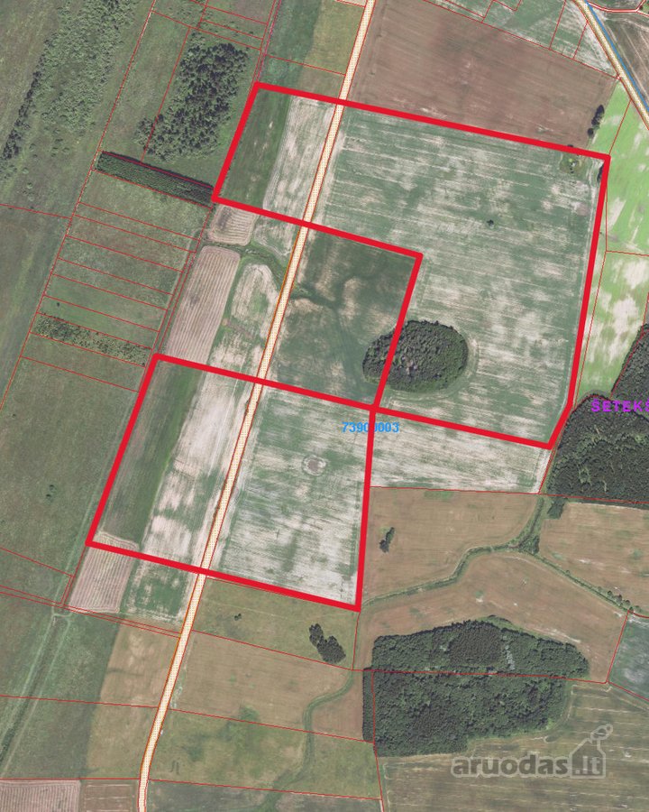 50,623 ha (350 Eur/ha už metus), Nuoma Nuo