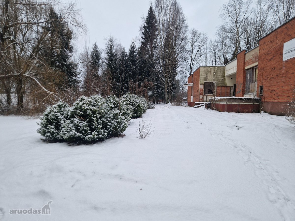 Tauragės r. sav., Skaudvilės m. - nuotraukos Nr. 2