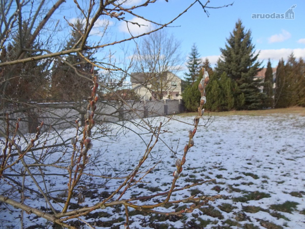 Parduodamas erdvus 15a sklypas Šarkaičių g. - nuotraukos Nr. 35