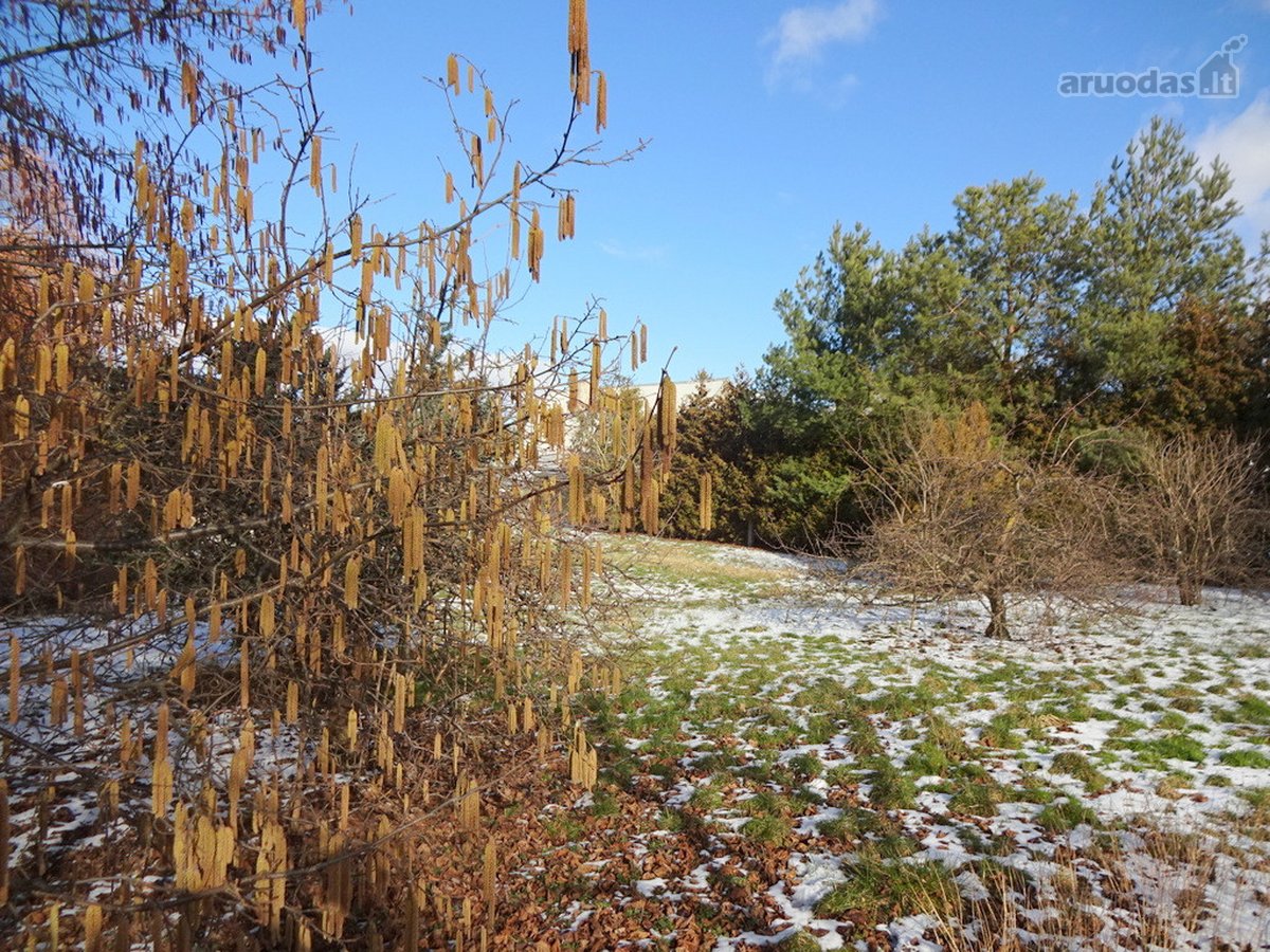 Parduodamas erdvus 15a sklypas Šarkaičių g. - nuotraukos Nr. 33