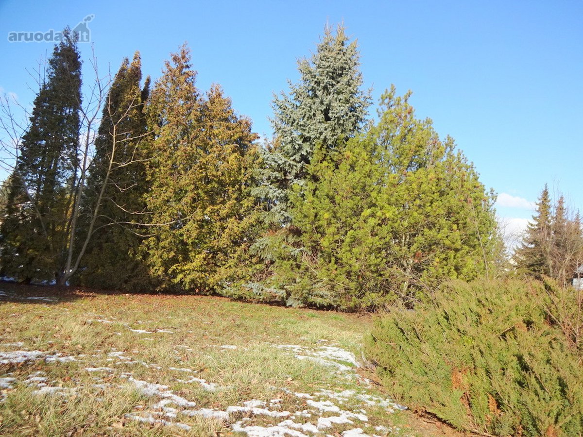 Parduodamas erdvus 15a sklypas Šarkaičių g. - nuotraukos Nr. 29
