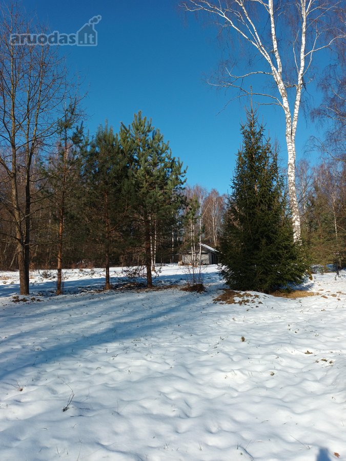 Parduodamas 99.91 aro žemės sklypas. Sklypas - nuotraukos Nr. 11