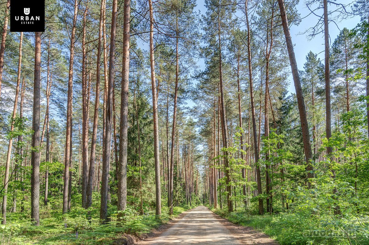 Unikalus Sklypas Ant Pačio Neries Upės Kranto - nuotraukos Nr. 7