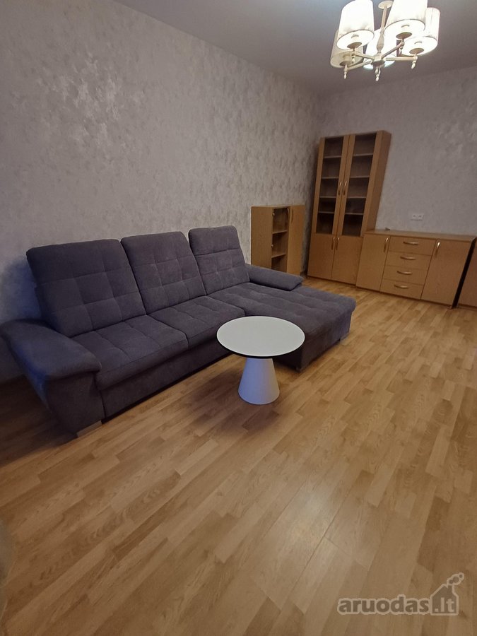 *Nuomojamas 2 kambarių butas Šeškinėje - nuotraukos Nr. 2
