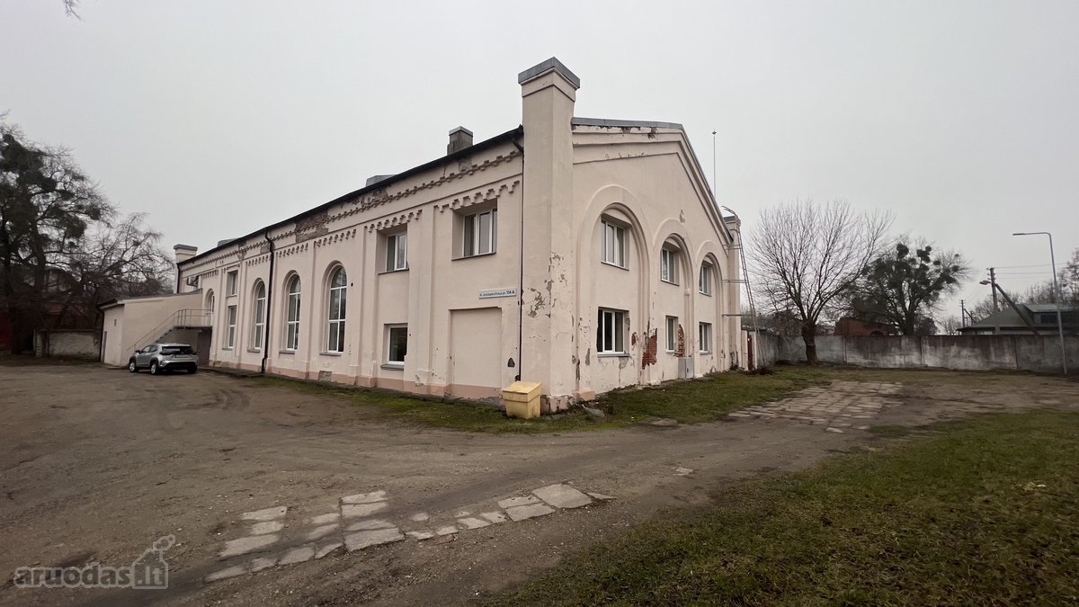 Ab „Lietuvos geležinkeliai“ aukciono būdu