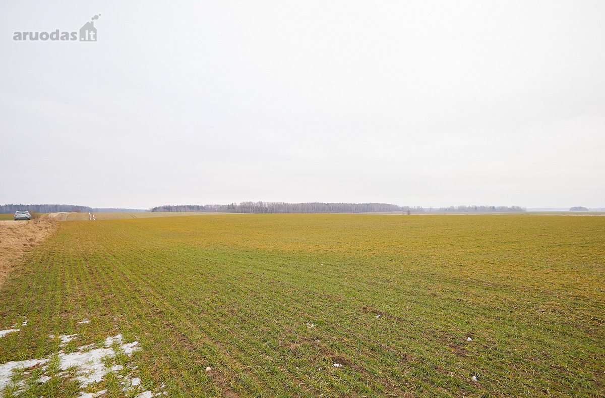 Parduodamas 5,2 Ha Žemės Ūkio Paskirties - nuotraukos Nr. 4