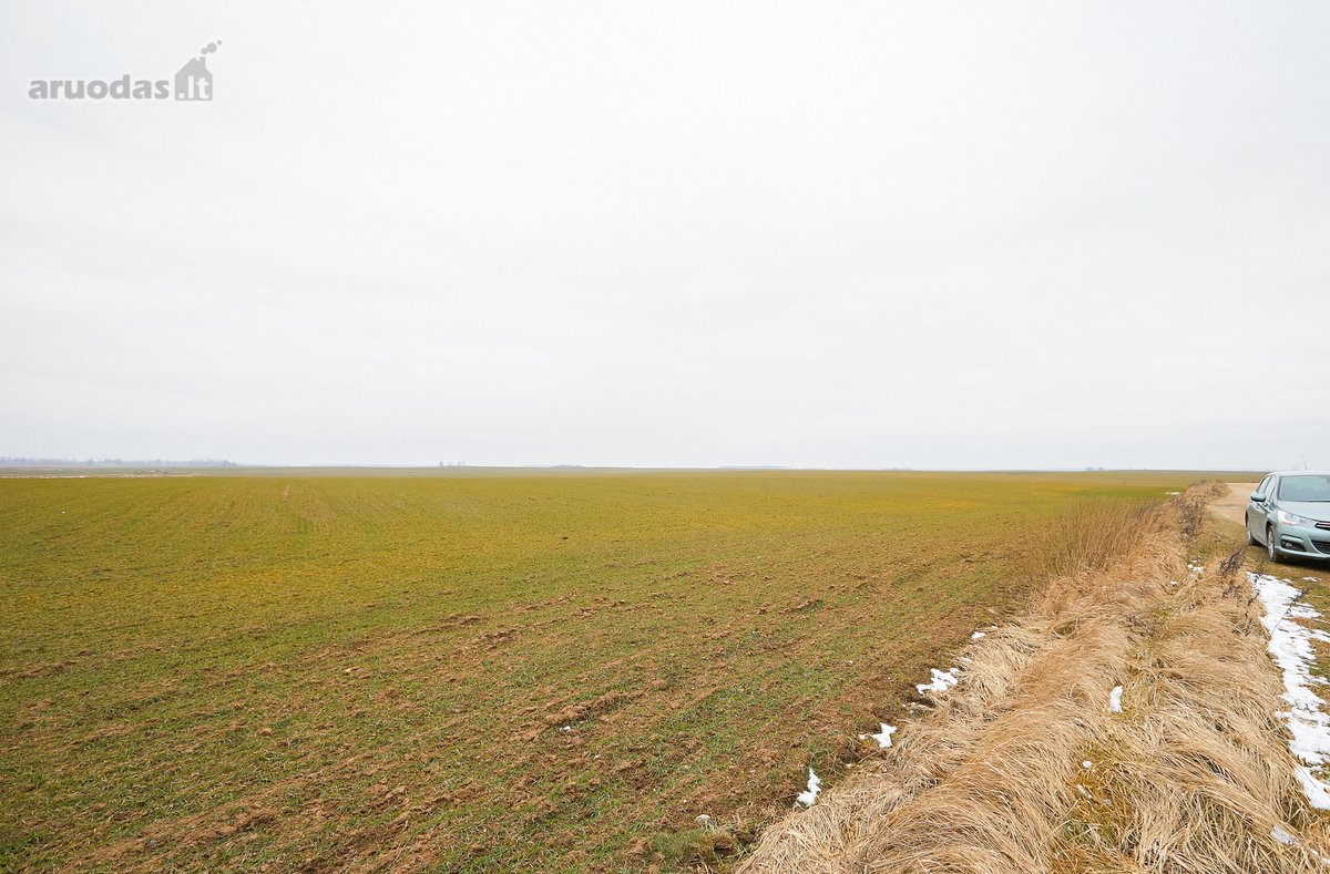 Parduodamas 5,2 Ha Žemės Ūkio Paskirties - nuotraukos Nr. 12