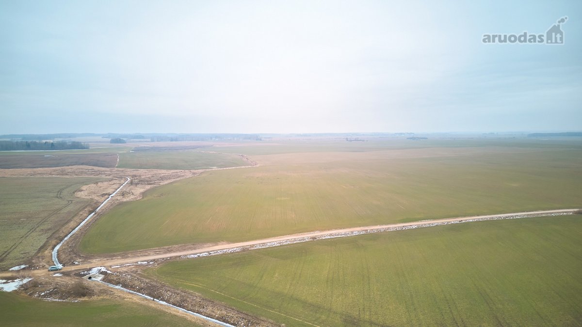 Parduodamas 5,2 Ha Žemės Ūkio Paskirties - nuotraukos Nr. 5