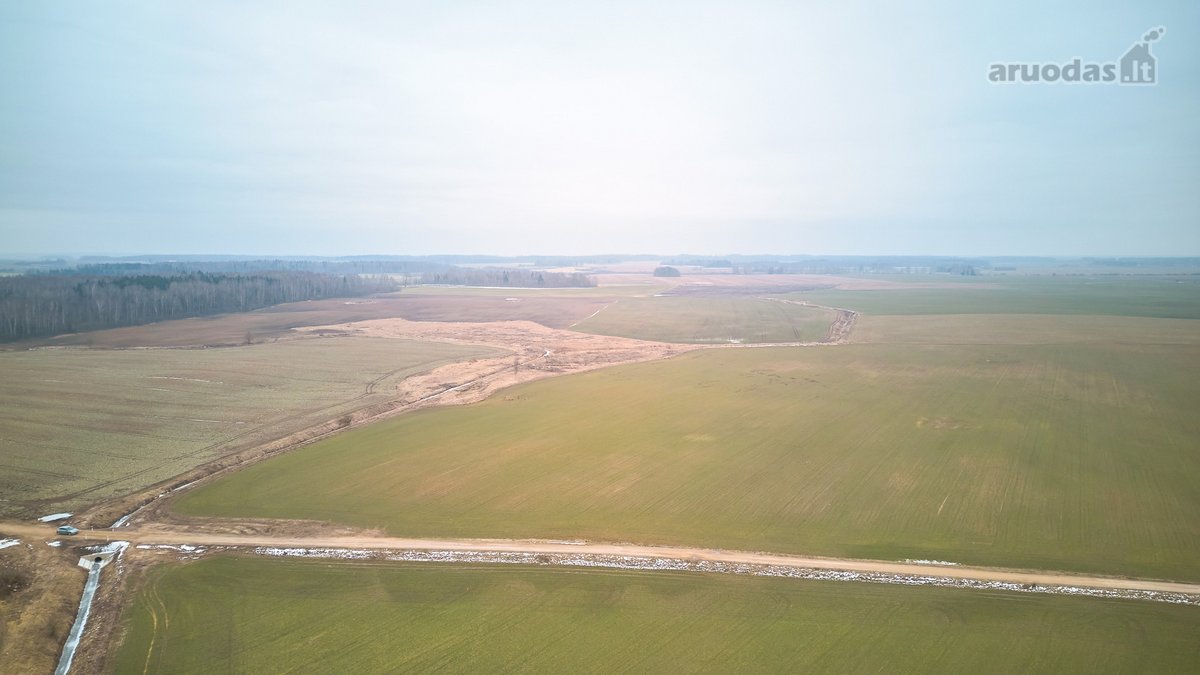 Parduodamas 5,2 Ha Žemės Ūkio Paskirties - nuotraukos Nr. 7