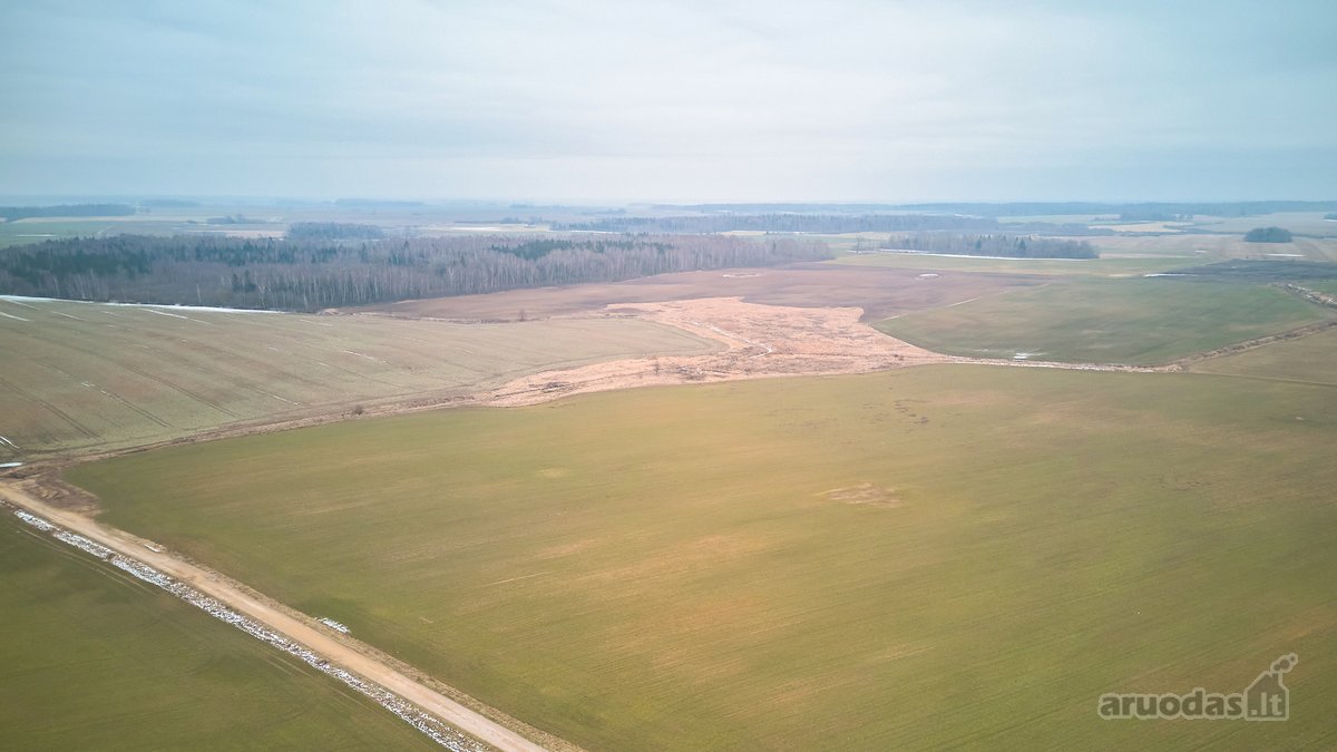 Parduodamas 5,2 Ha Žemės Ūkio Paskirties - nuotraukos Nr. 8