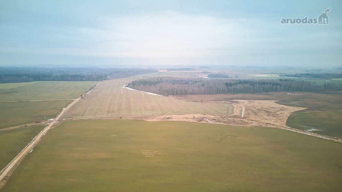 Parduodamas 5,2 Ha Žemės Ūkio Paskirties - nuotraukos Nr. 10