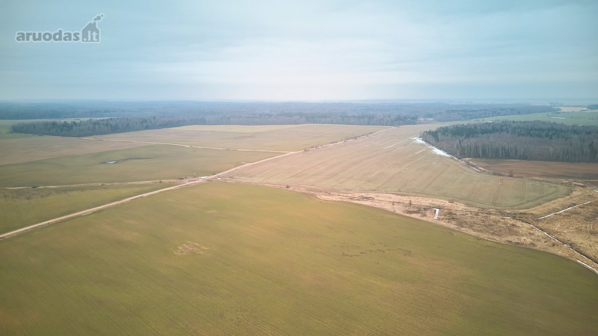 Parduodamas 5,2 Ha Žemės Ūkio Paskirties - nuotraukos Nr. 9