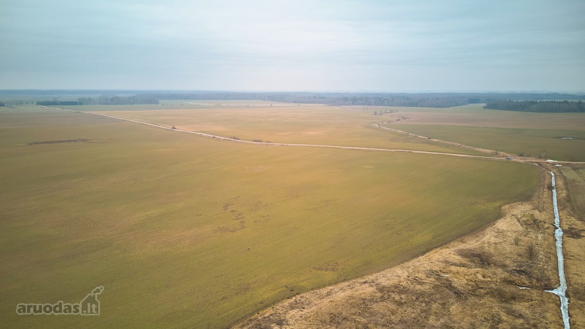Parduodamas 5,2 Ha Žemės Ūkio Paskirties - nuotraukos Nr. 13