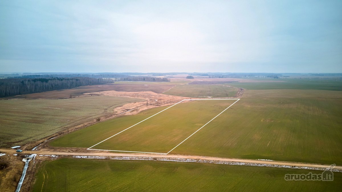 Parduodamas 5,2 Ha Žemės Ūkio Paskirties - nuotraukos Nr. 15
