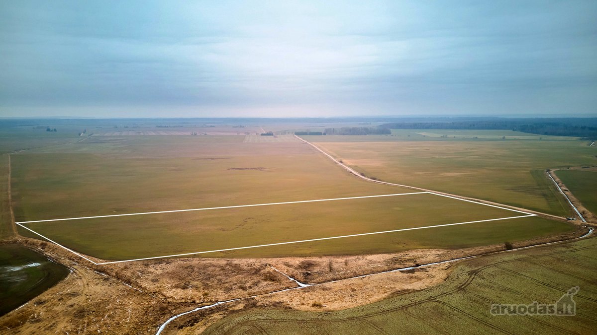 Parduodamas 5,2 Ha Žemės Ūkio Paskirties - nuotraukos Nr. 14