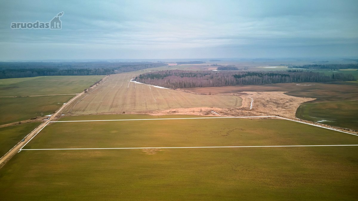 Parduodamas 5,2 Ha Žemės Ūkio Paskirties - nuotraukos Nr. 11