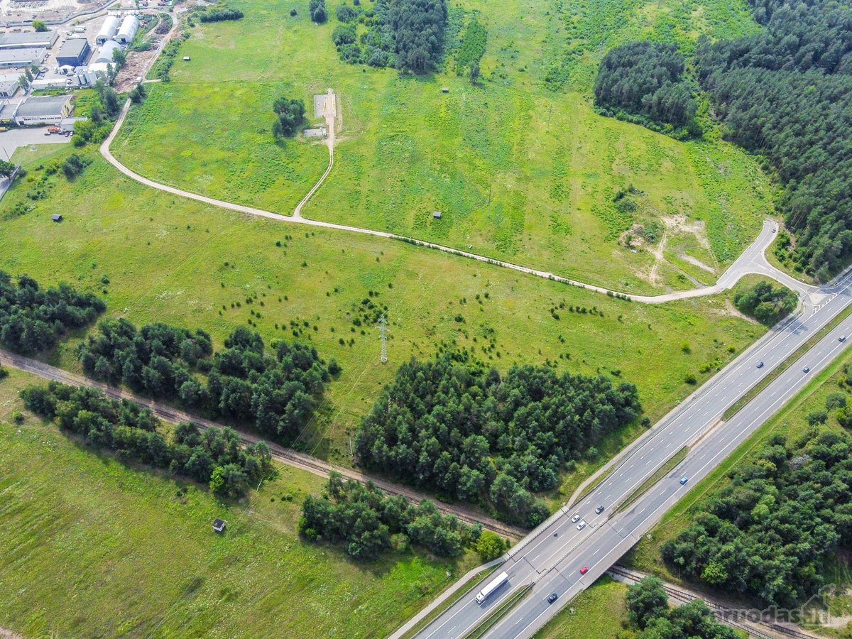 Parduodamas 3,1254 ha ploto Žemės Sklypas - nuotraukos Nr. 4