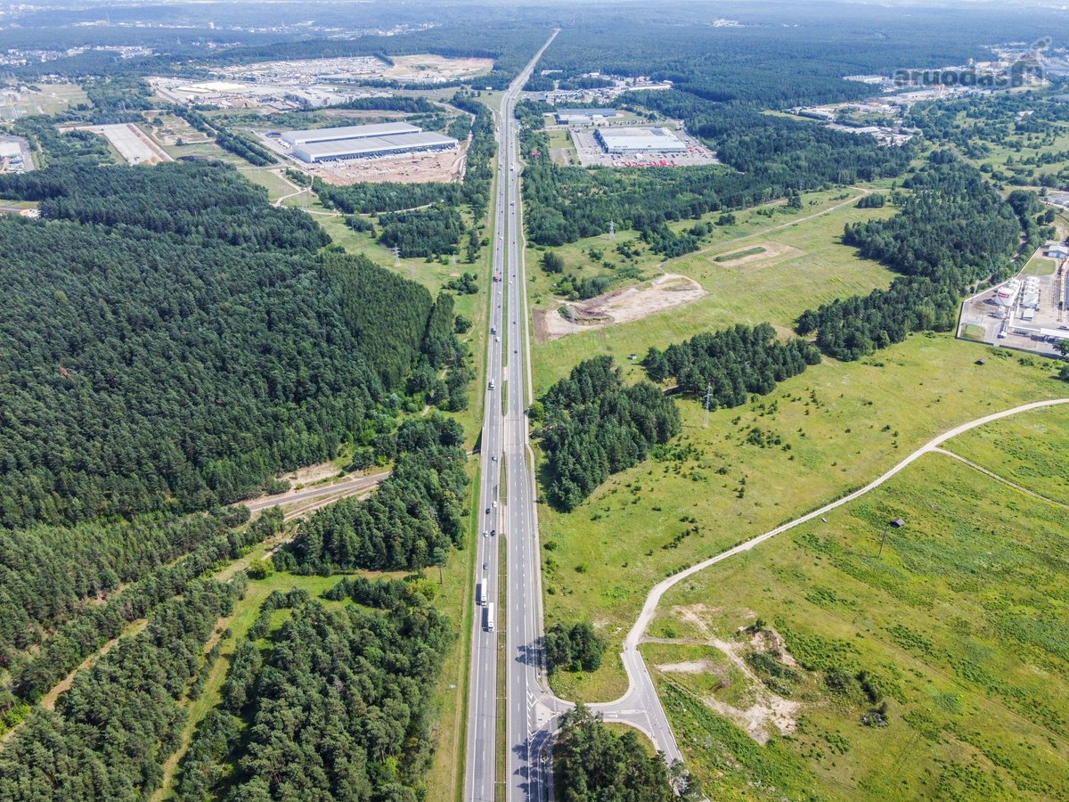 Parduodamas 3,1254 ha ploto Žemės Sklypas - nuotraukos Nr. 7