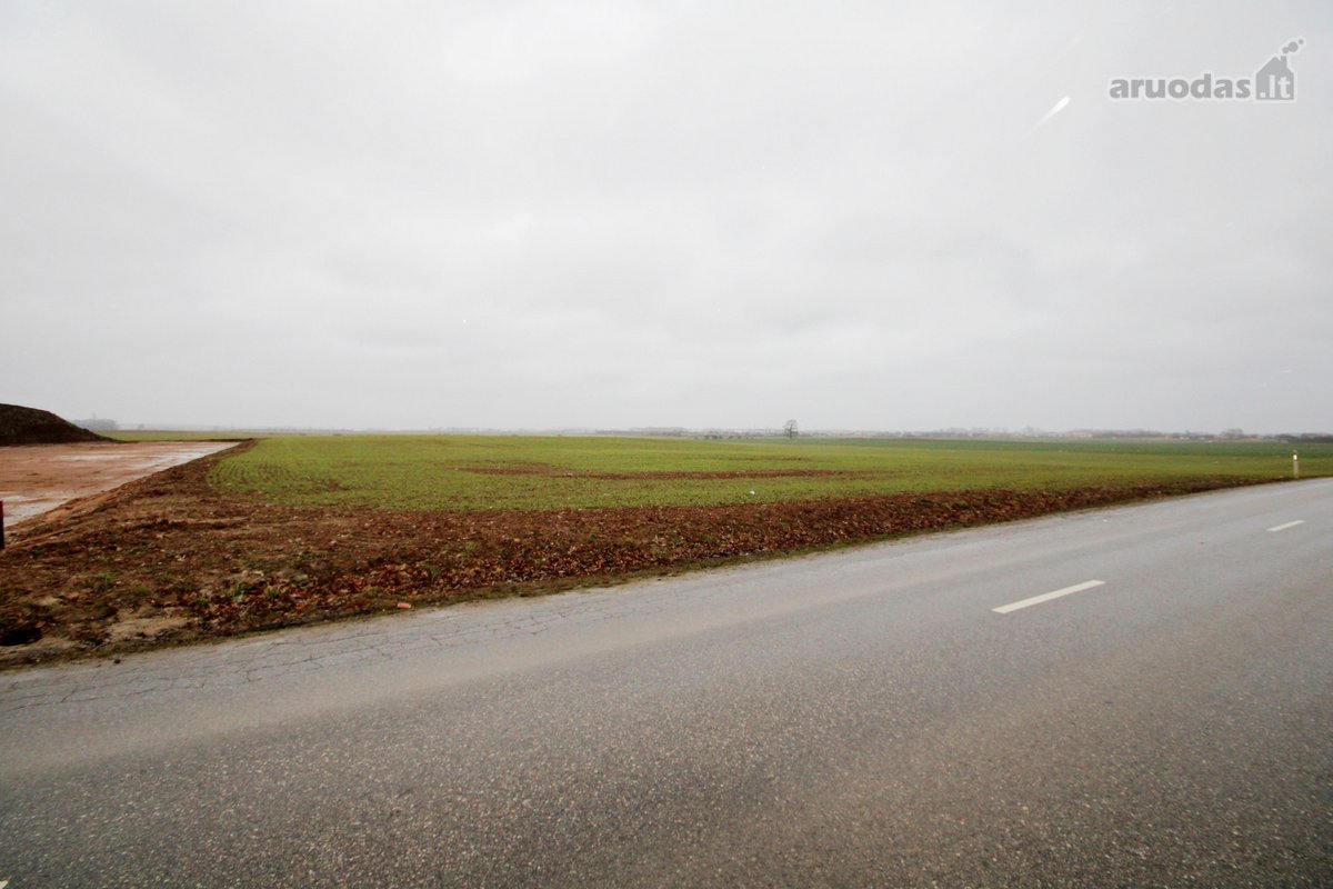 Kauno rajone, Vijukų k., Romainių pašonėje