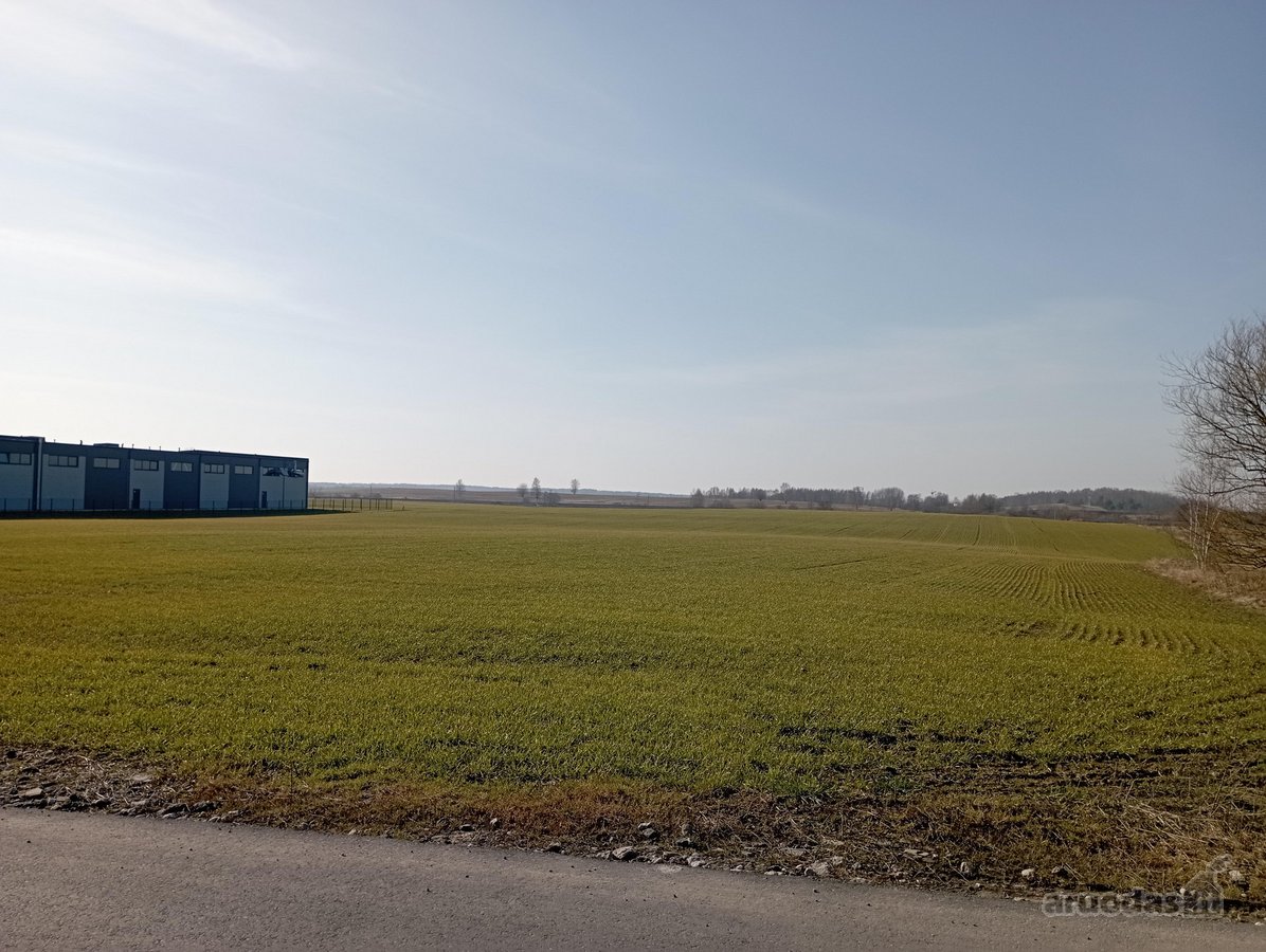 Klaipėdos priemiestyje (apie 2 km iki miesto)