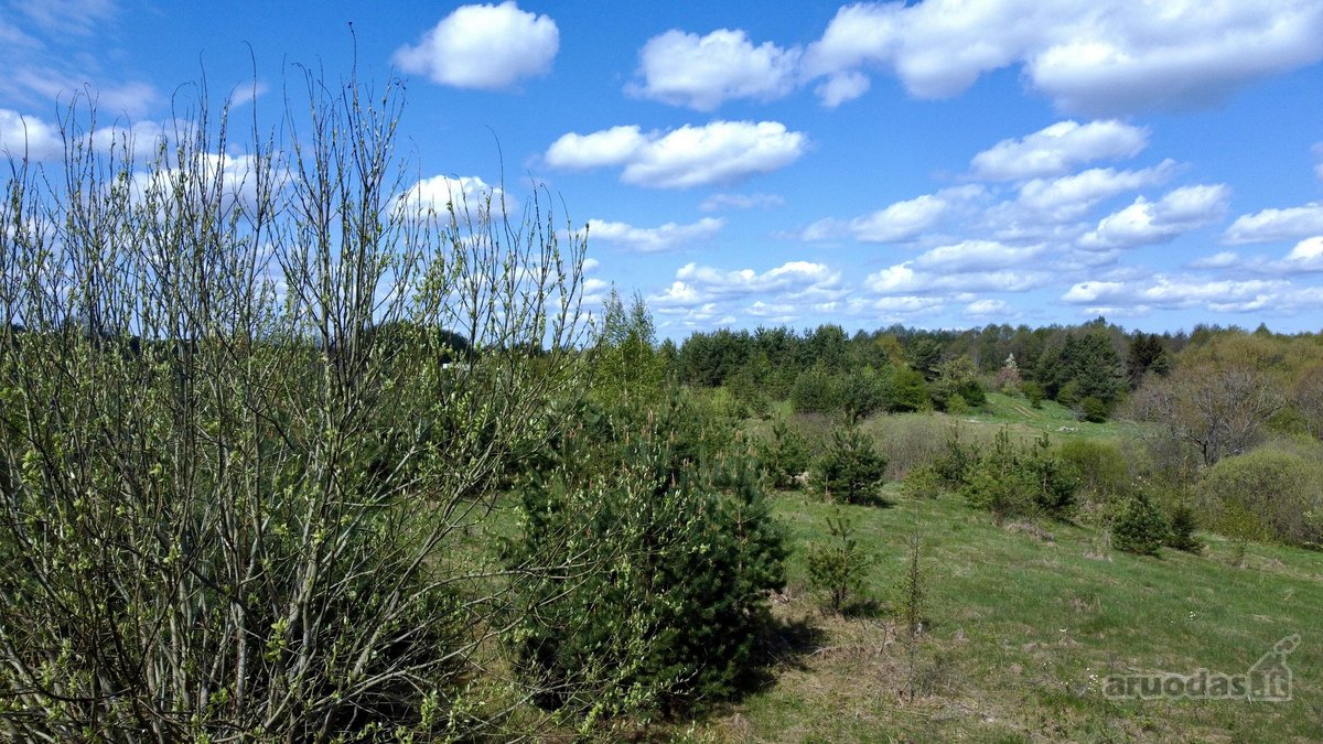 Alsakėlių Kaime, Trakų R. Parduodamas Žemės - nuotraukos Nr. 5