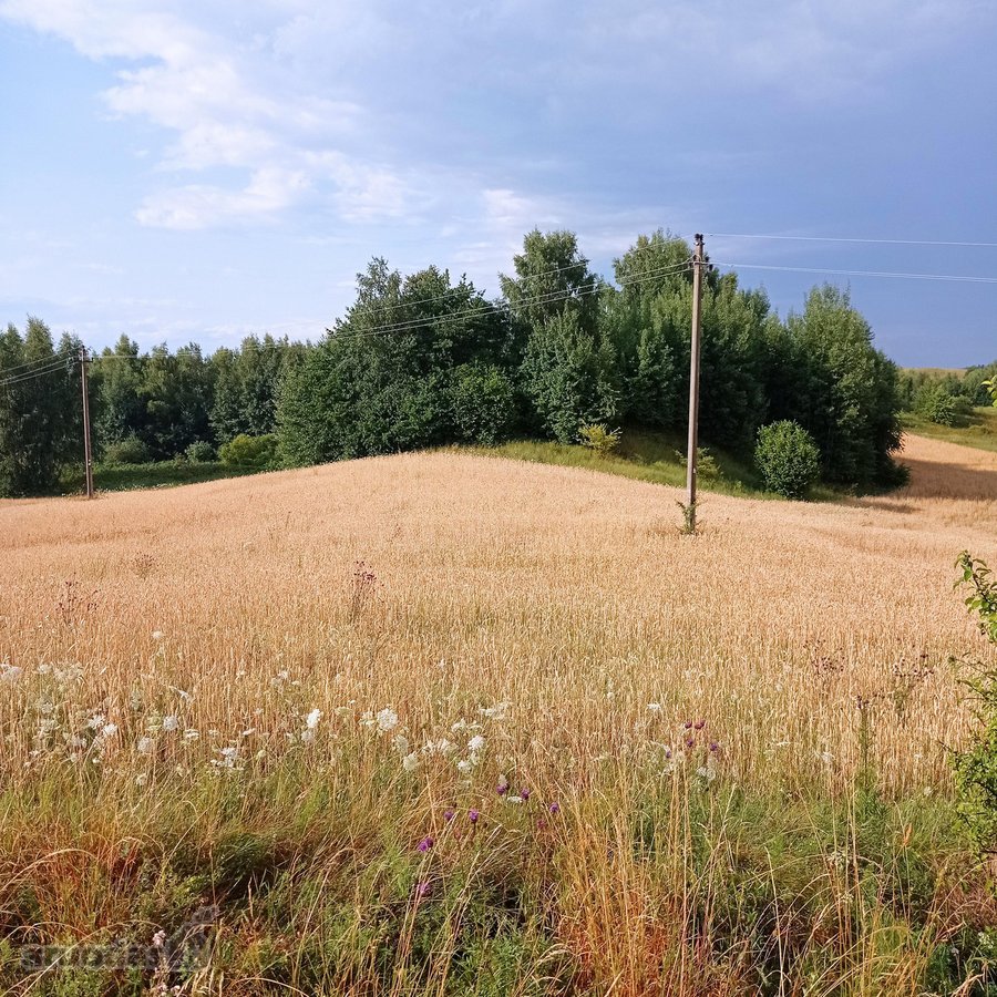 Parduodami 3 žemės ūkio paskirties sklypai -