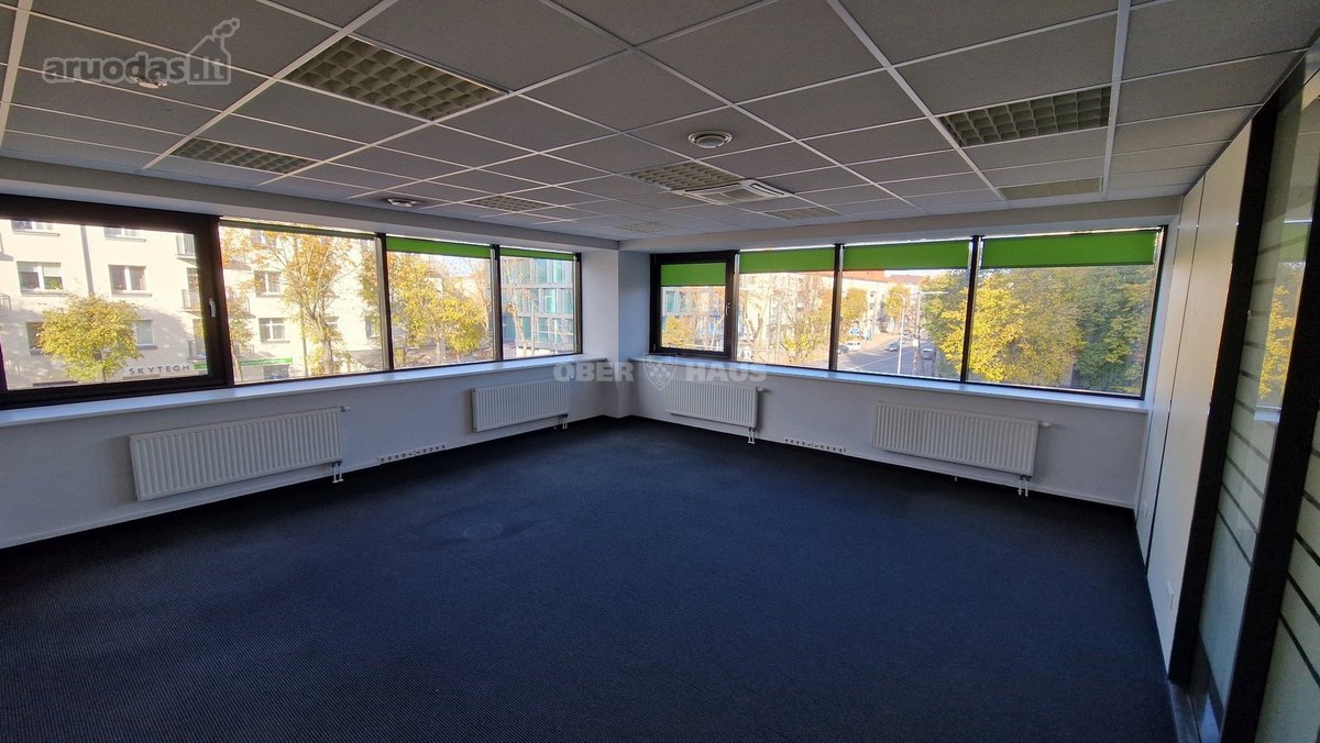 Centrinėje miesto gatvėje, verslo centre, - nuotraukos Nr. 11