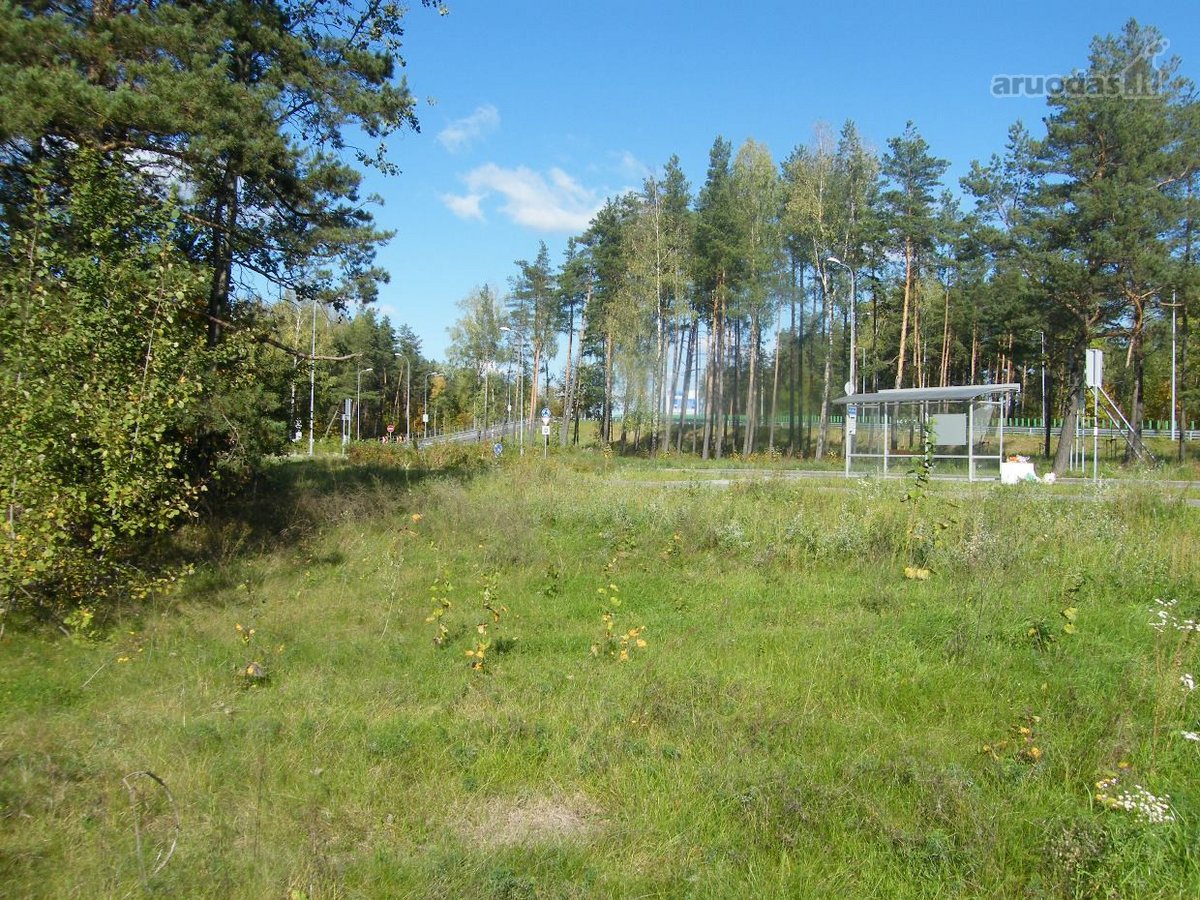 Nuomojamas žemės sklypas sankryžoje, tarp - nuotraukos Nr. 6
