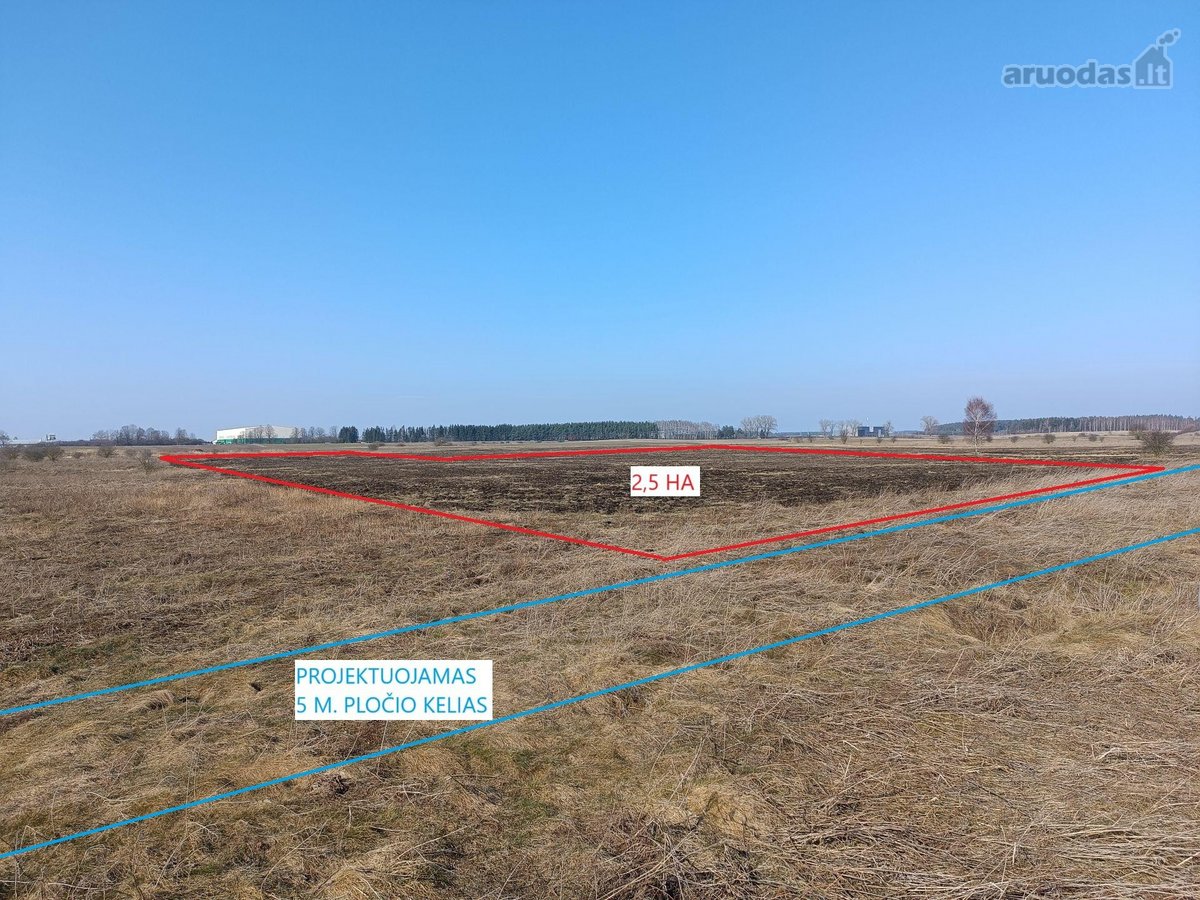 Parduodamas 2.5 Ha Žemės Ūkio Paskirties Sklypas - nuotraukos Nr. 3