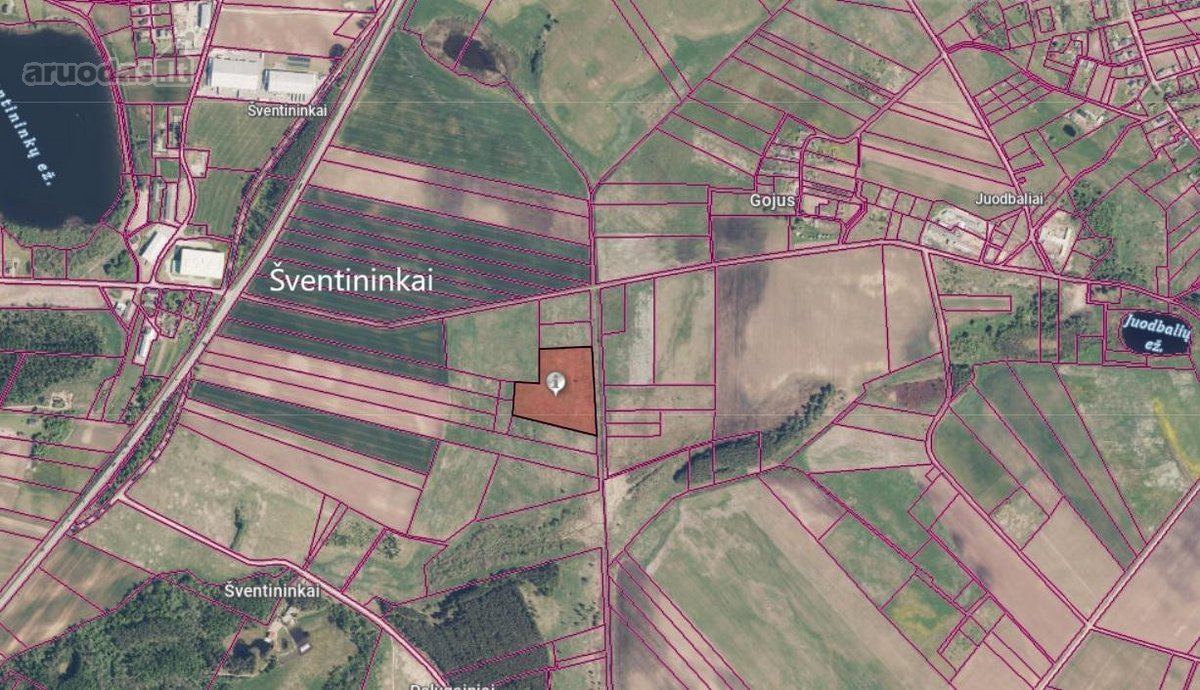 Parduodamas 2.5 Ha Žemės Ūkio Paskirties Sklypas - nuotraukos Nr. 5