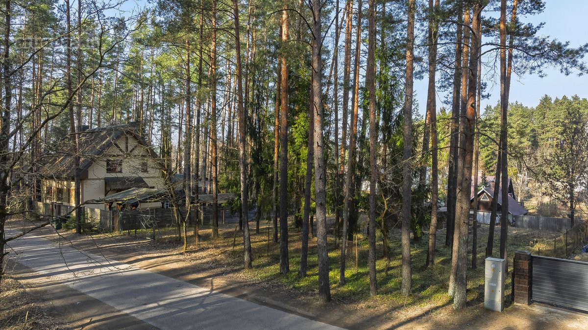 Parduodamas Sklypas Gvazdikų Gatvėje – Gamtos - nuotraukos Nr. 12