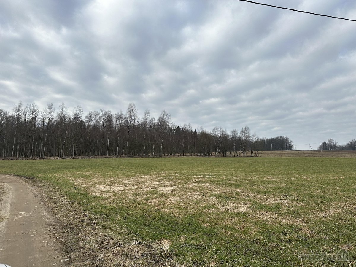 Šilalės r. sav., Žąsino k. - nuotraukos Nr. 3