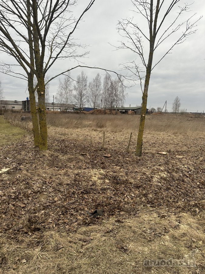 Elektrėnų sav., Kalninių Mijaugonių k. - nuotraukos Nr. 2