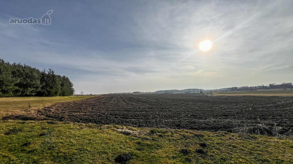 Parduodamas 1,6 Ha Žemės Ūkio Paskirties - nuotraukos Nr. 3