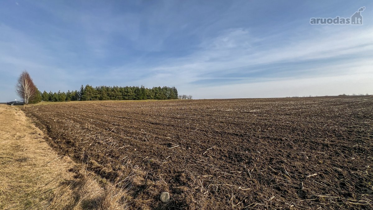 Parduodamas 1,6 Ha Žemės Ūkio Paskirties - nuotraukos Nr. 2