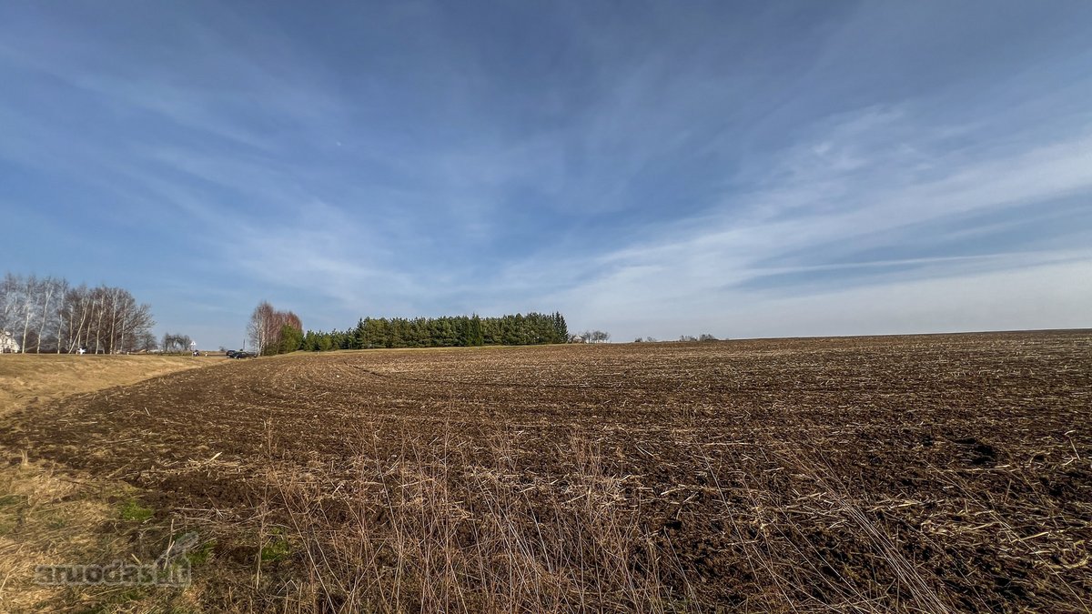 Parduodamas 1,6 Ha Žemės Ūkio Paskirties - nuotraukos Nr. 4