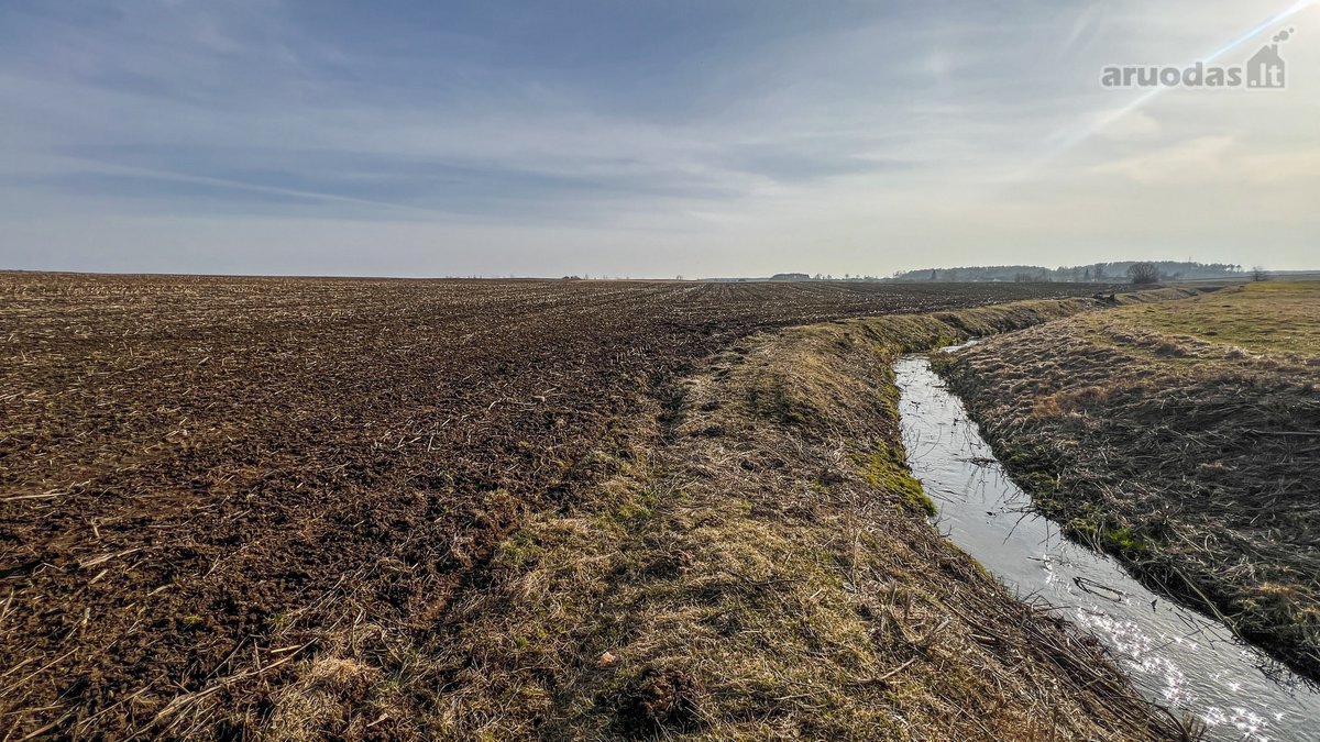 Parduodamas 1,6 Ha Žemės Ūkio Paskirties - nuotraukos Nr. 5
