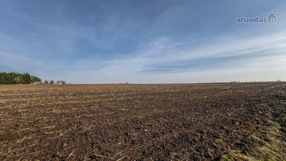 Parduodamas 1,6 Ha Žemės Ūkio Paskirties - nuotraukos Nr. 6