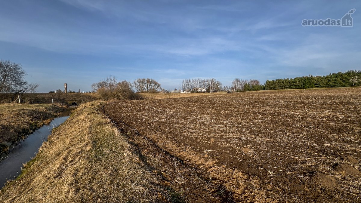 Parduodamas 1,6 Ha Žemės Ūkio Paskirties - nuotraukos Nr. 9