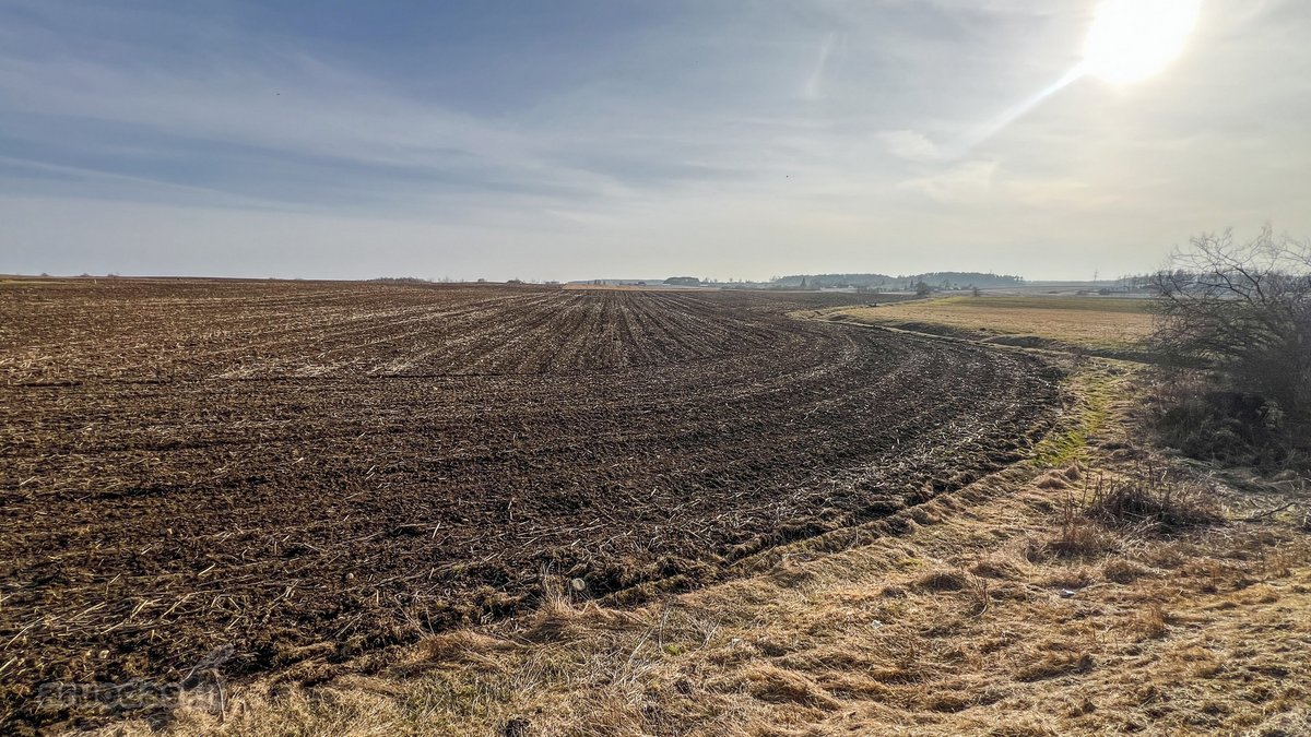 Parduodamas 1,6 Ha Žemės Ūkio Paskirties - nuotraukos Nr. 7